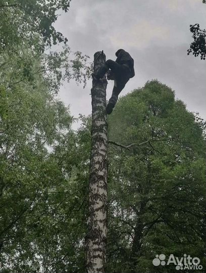 Скос покос травы, спил деревьев, кустов