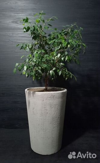 Кашпо, Вазоны, Горшки под заказ из бетона арт 124