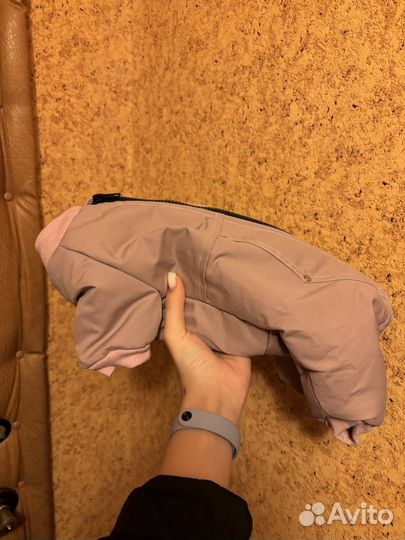 Одежда для собак мелких пород (щенков)