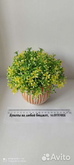 Цветы для интерьера