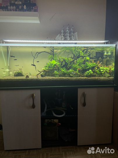 Аквариумный комплекс 225 литров в сборе