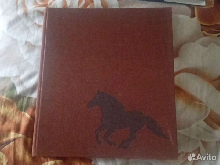 Tylinek/Samkov/Flade Das grobe Pferdebuch