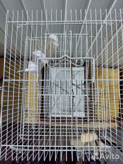 Клетка для грызунов