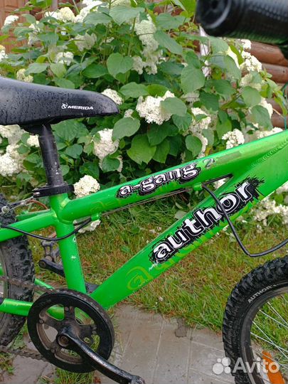 Велосипед детский Author a-gang