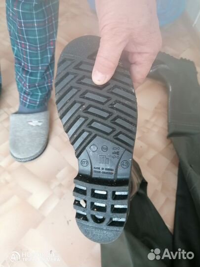 Забродники мужские