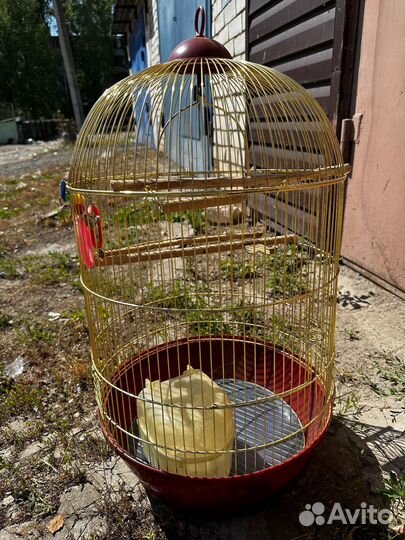 Большая клетка для птиц