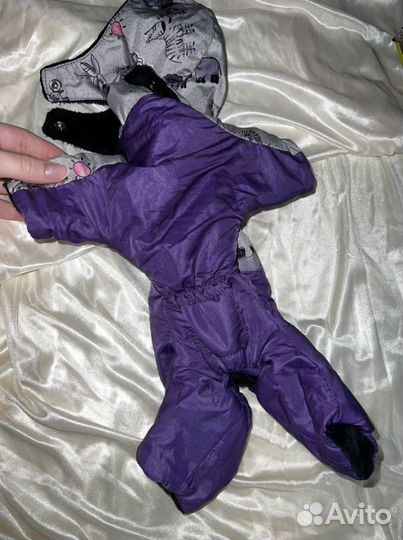 Вещи для маленьких собак