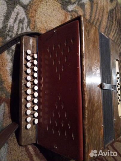 Гармонь кубань. Балалайка