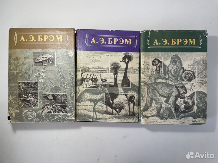 Жизнь животных