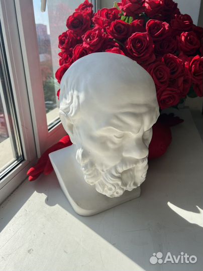 Бюст голова гипсовая сократ