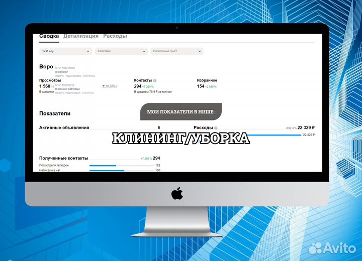 Профессиональный Авитолог. Продвижение на Авито