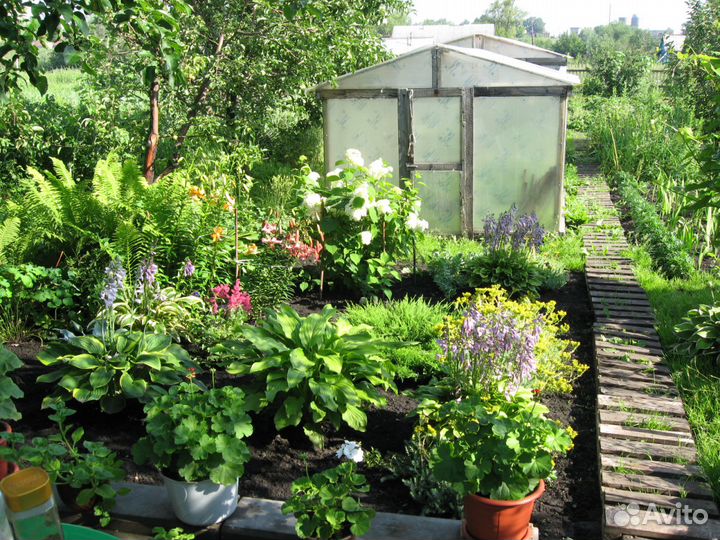 Продажа цветов и кустарников