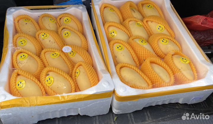 Манго оптом