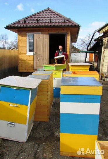 Улей деревянный облегченный в шип, рамки