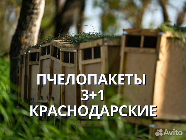 Пчелопакеты Краснодарские 3+25