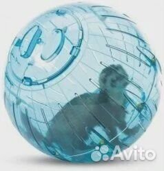 Прогулочный шар