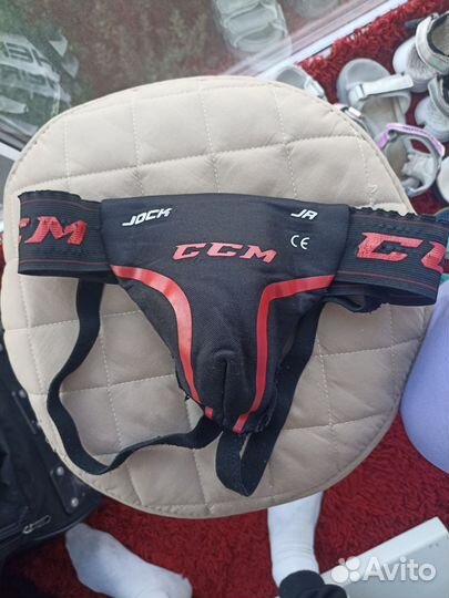 Ракушка хоккейная