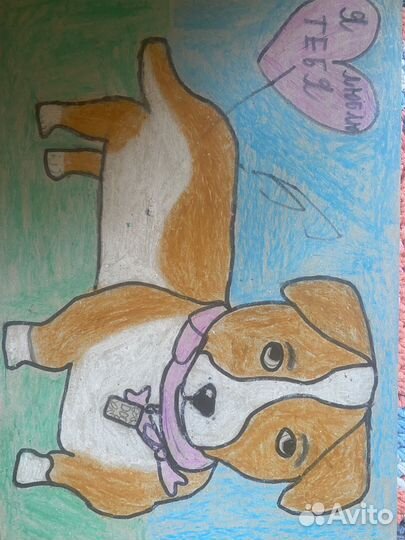 Рисую Ваших питомцев за любую сумму