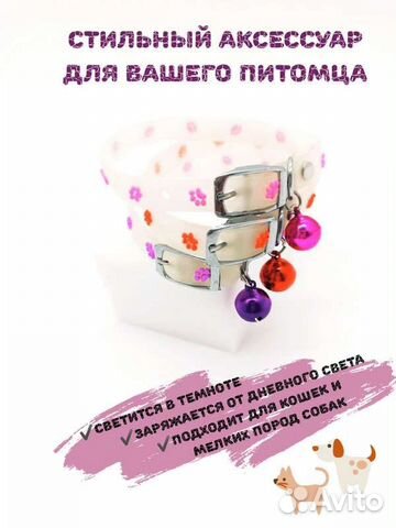 Светящийся ошейник