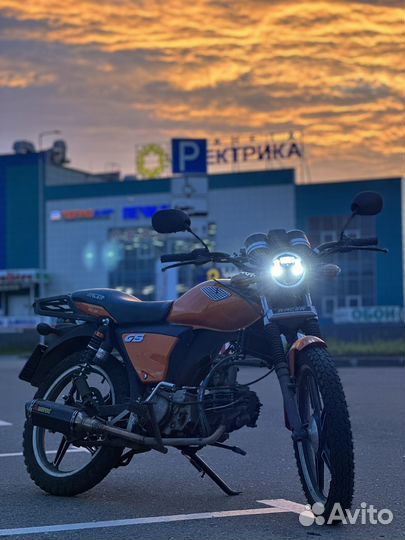 Racer Alpha gs 110 (160)