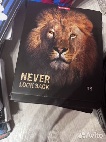 Тетради и канцелярия hatber erich krause