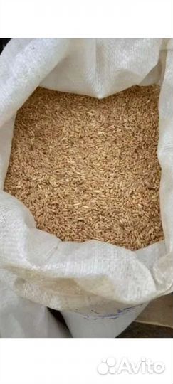 Пшеница в мешках по 30 кг. Доставка