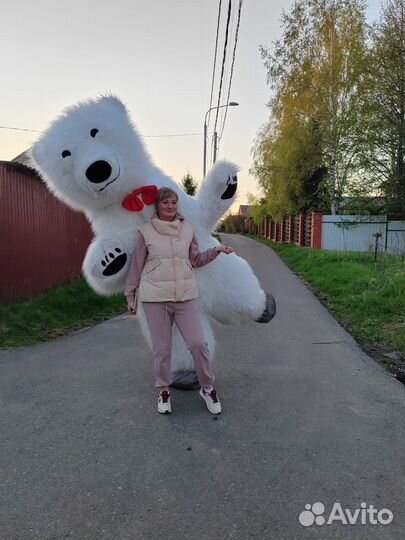 Белый мишка поздравление