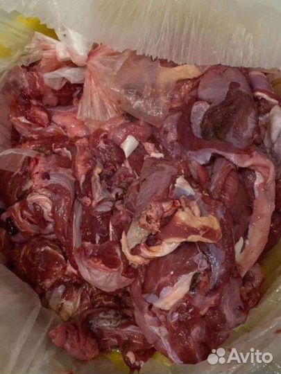 Мясо говядина для собак