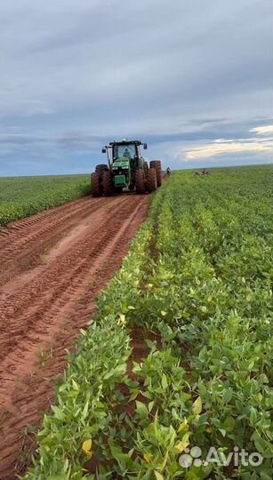 Купить грунт навоз в мешках