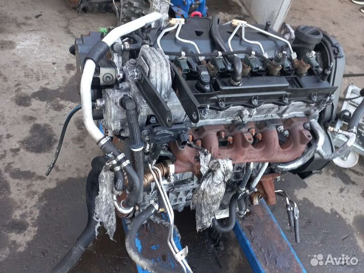 Двигатель d5244t5 Volvo XC90 2,4 diesel