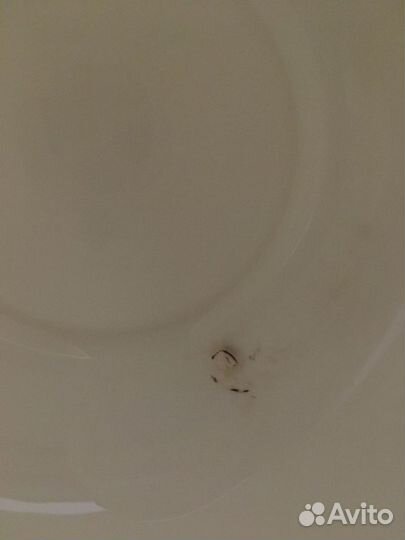 Заварочный чайник willmax