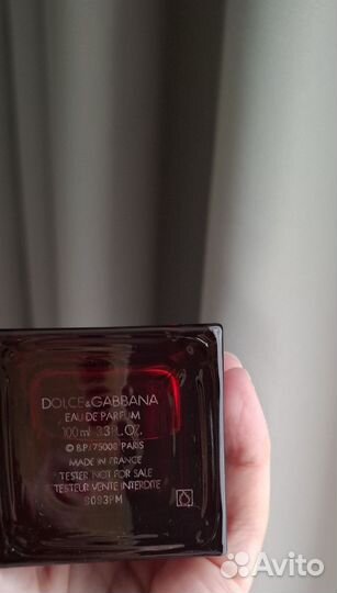 The only one 2, Dolce Gabbana