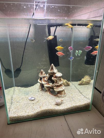 Аквариум с рыбками