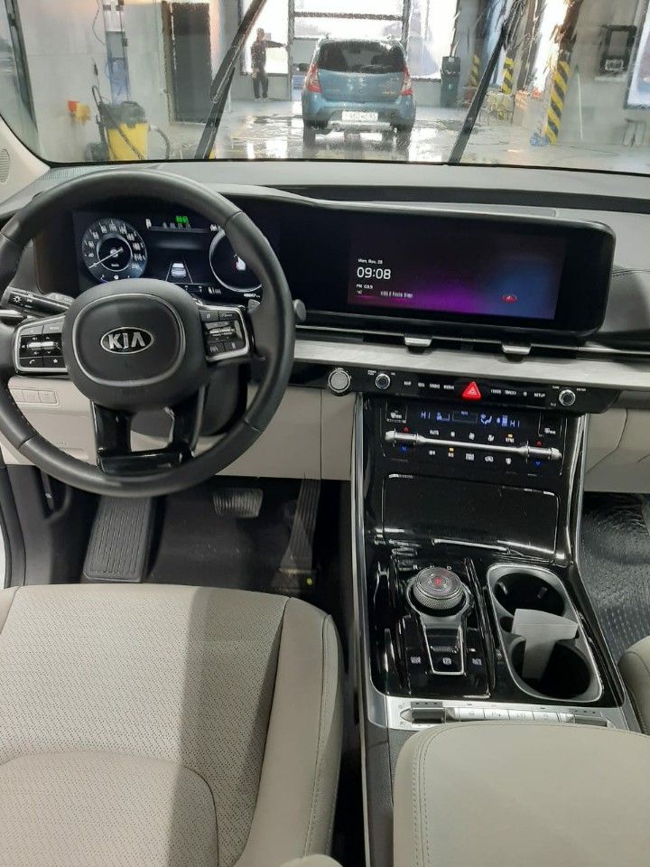 Kia Carnival: фото владельца