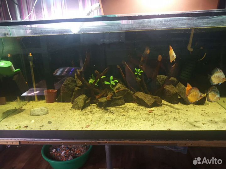 Аквариум