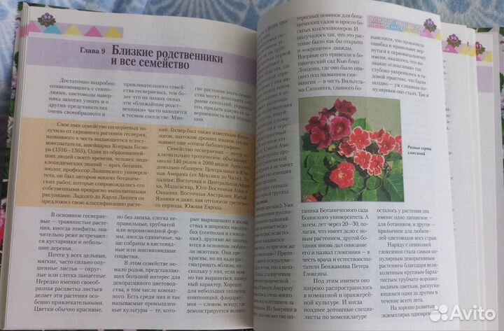 Книга сенполии