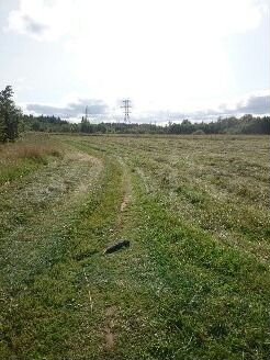 Участок 2,89 га (СНТ, ДНП)