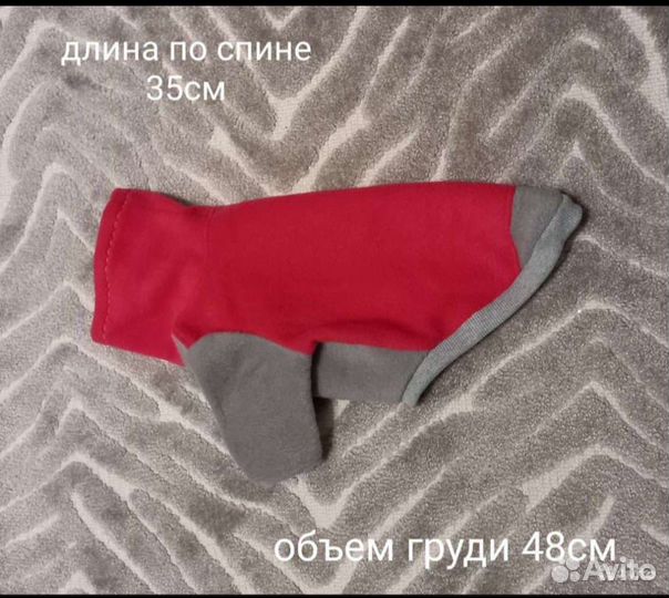 Одежда для собак