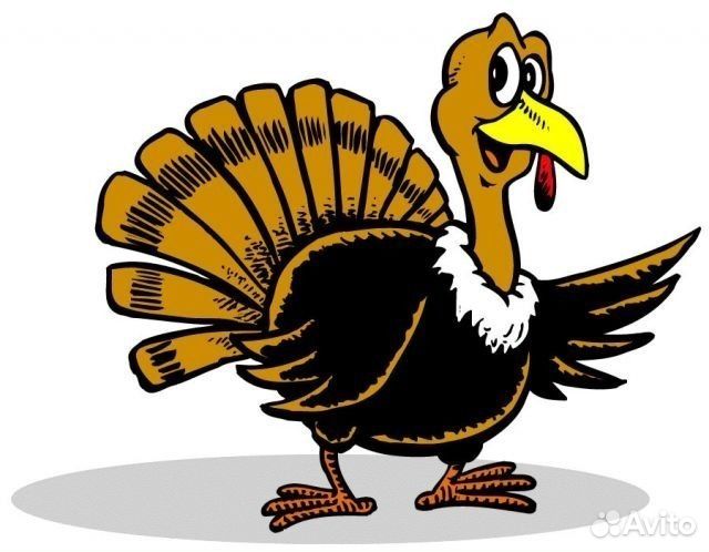 Индюк старт