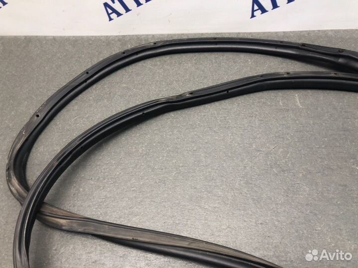 Уплотнитель двери задний левый Daewoo Gentra 5V3