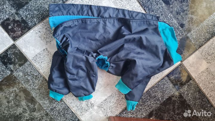 Одежда для небольших собак