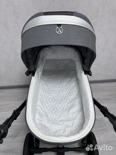 Коляска 3 в 1 Coletto Dante