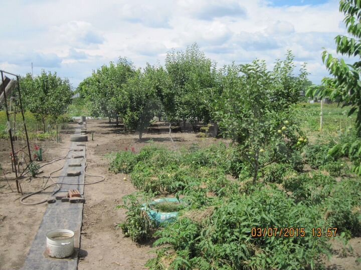 Дом 80 м² на участке 12 сот.