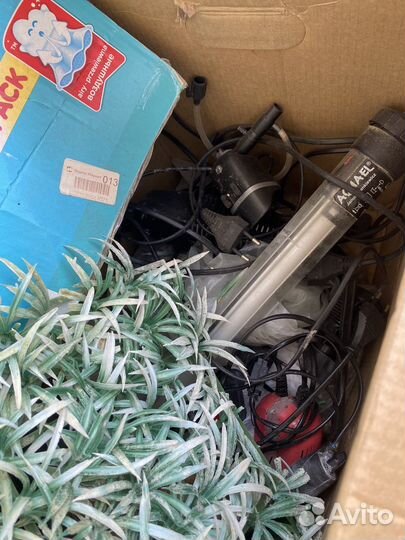 Аквариум с комплектом всех пренадлежностей