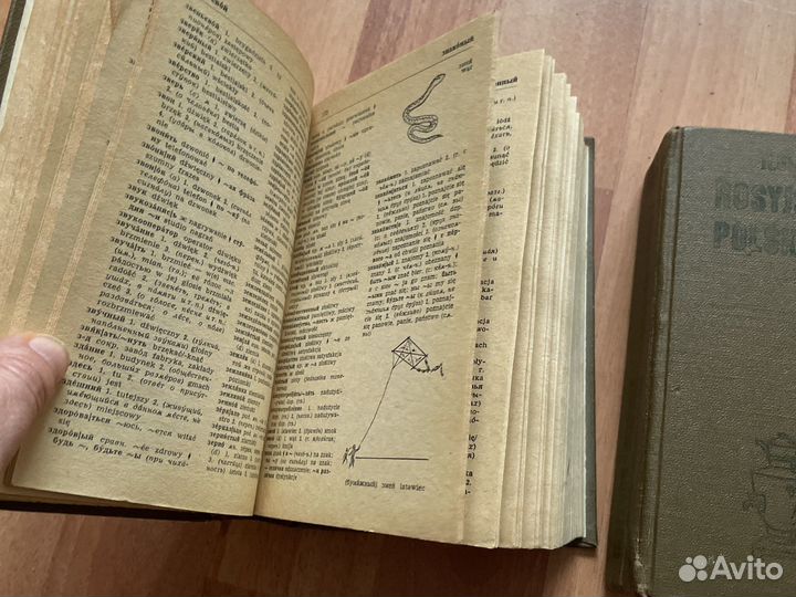 Польский язык