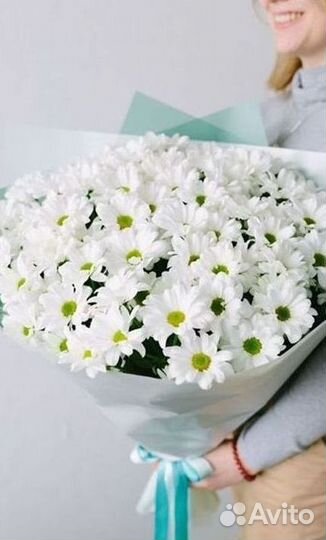 Хризантема Доставка цветов