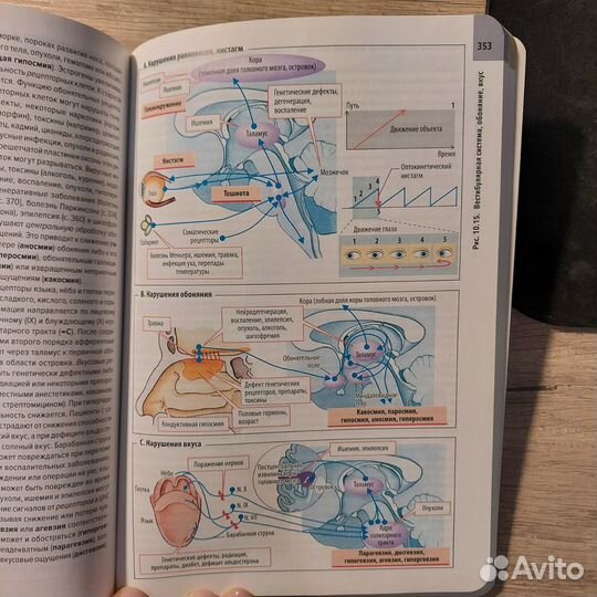 Клиническая патофизиология