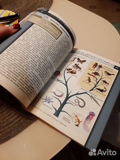 Учебник по биологии 5-6 класс Пасечник В.В