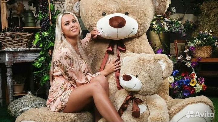 Плюшевый мишка Большой медведь