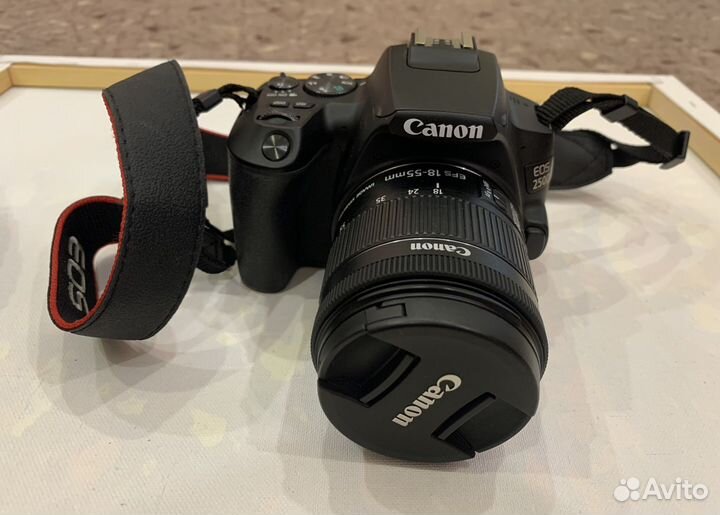 Фотоаппарат Canon EOS 250d